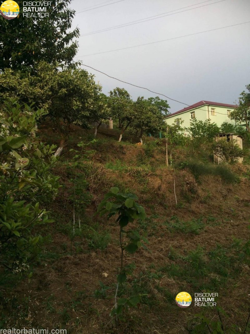 Land for sale in Makhinjauri