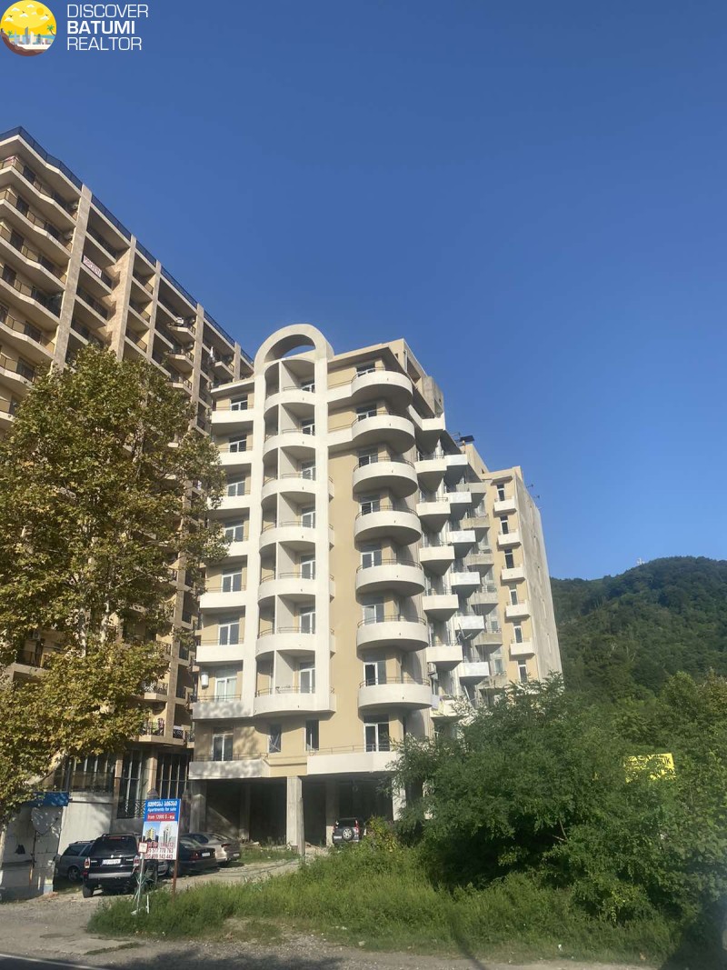 იყიდება შავი კარკასი გონიოში