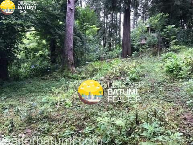 Land for sale in Makhinjauri