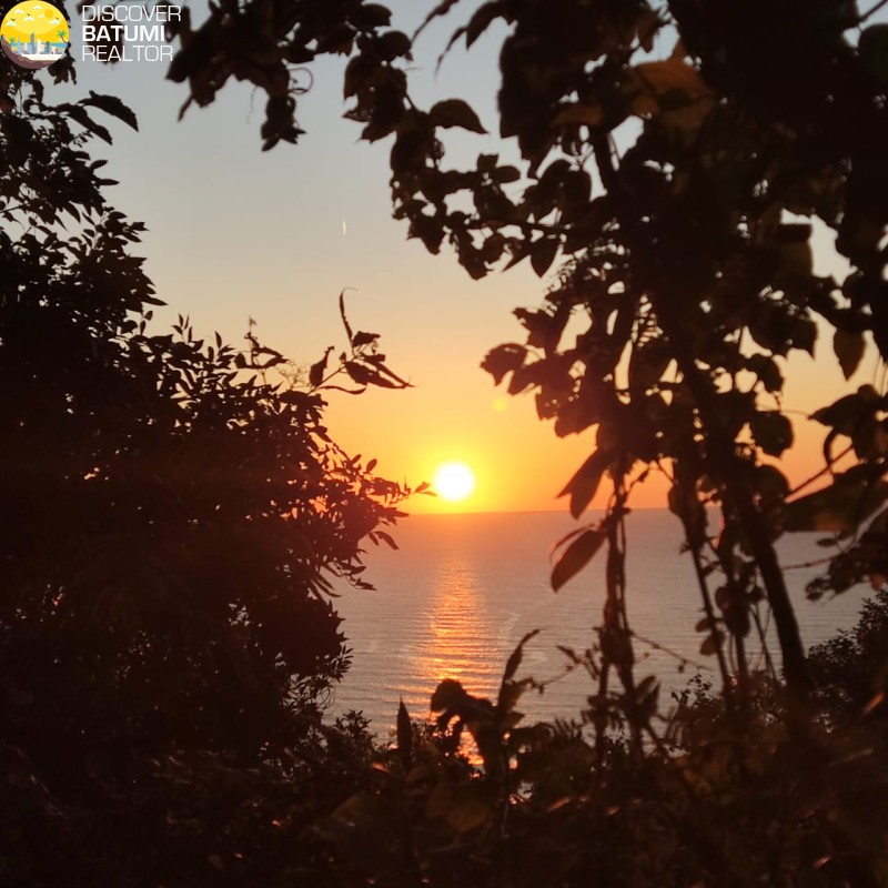 იყიდება მიწის ნაკვეთი კვარიათში