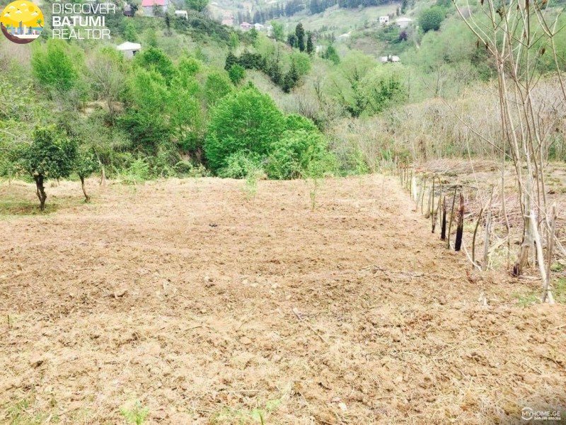 იყიდება მიწის ნაკვეთი სახალვაშოში