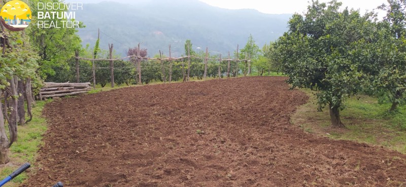 A plot of land in Tkhilnar village is for sale