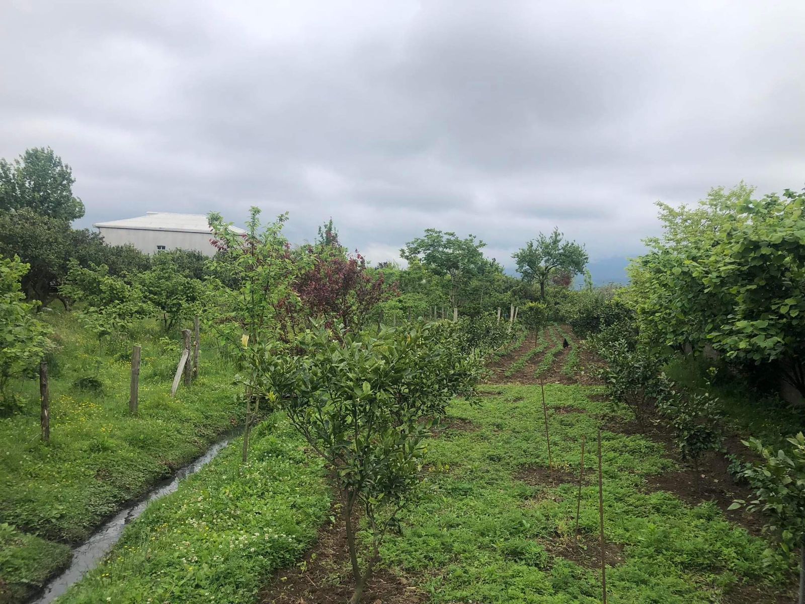 Продается частный дом и земельный участок на улице Давида Какабадзе