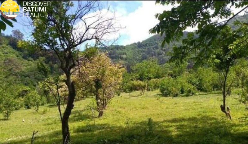 Продается земельный участок в Гонио