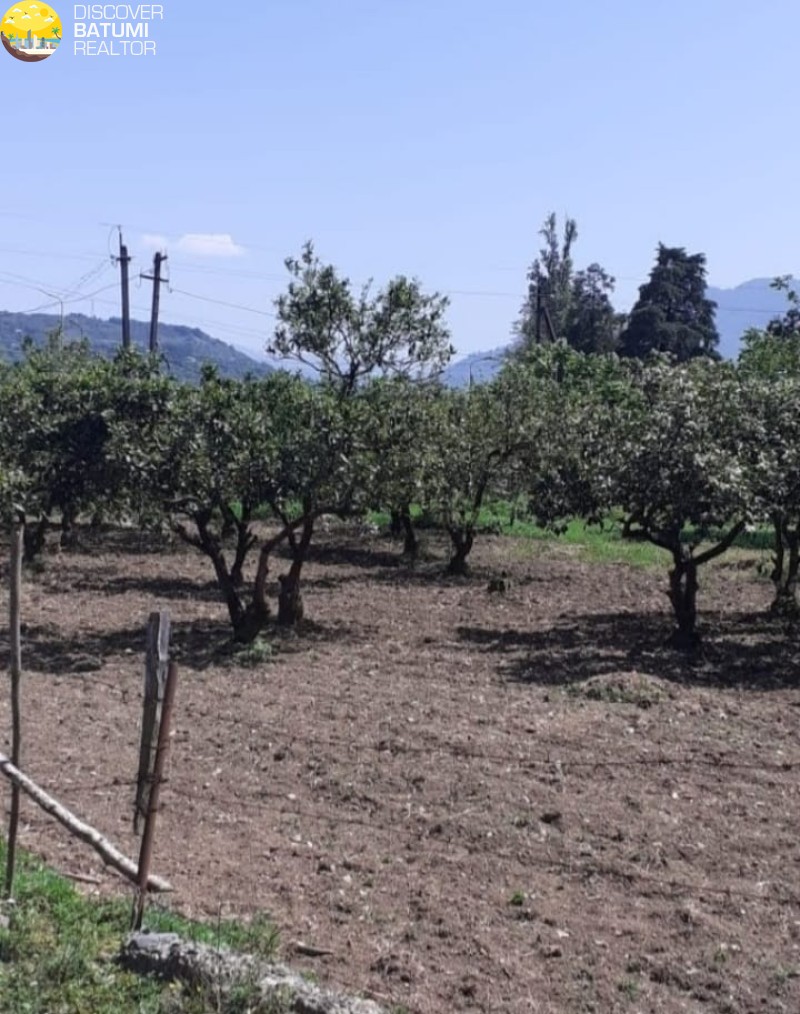 Продается земельный участок в Хелвачаури