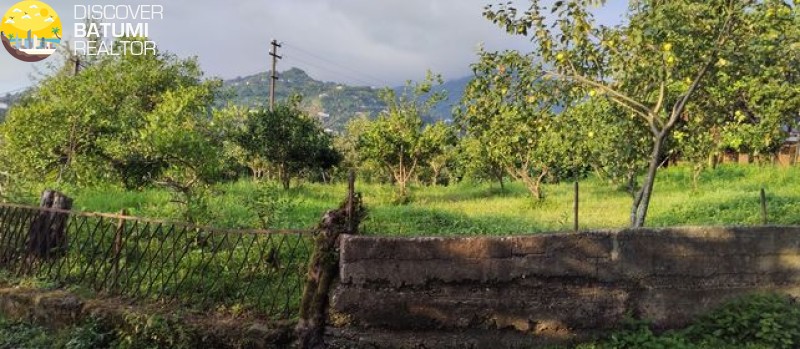 Продается земельный участок в Чакви
