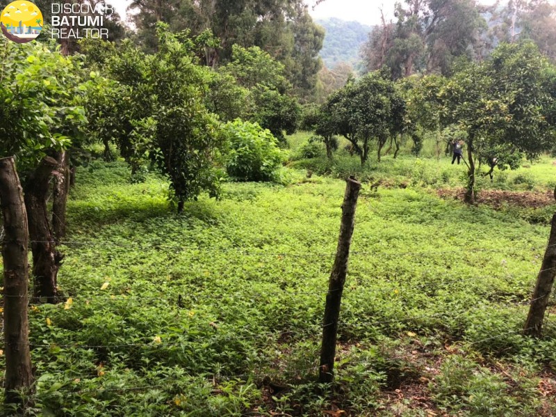 A plot of land in Gonio is for sale