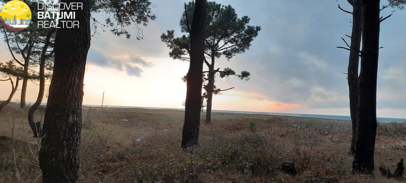 Загородный дом на продажу в Шекветили