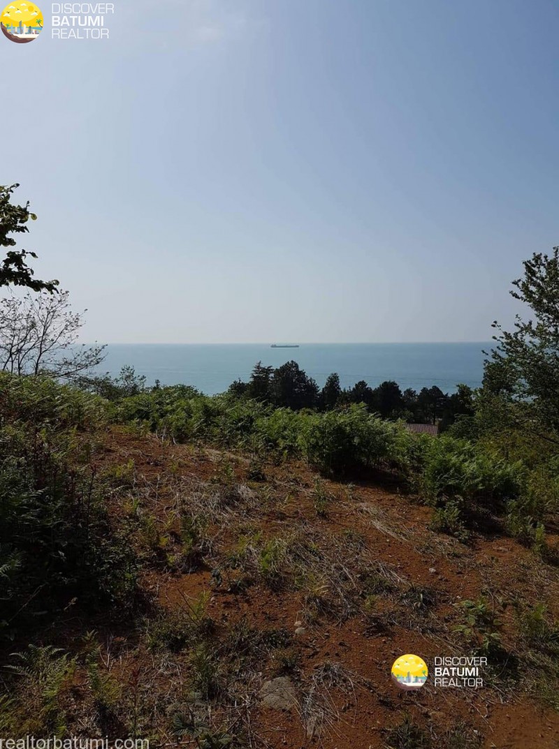 Продажа земли в Чакви