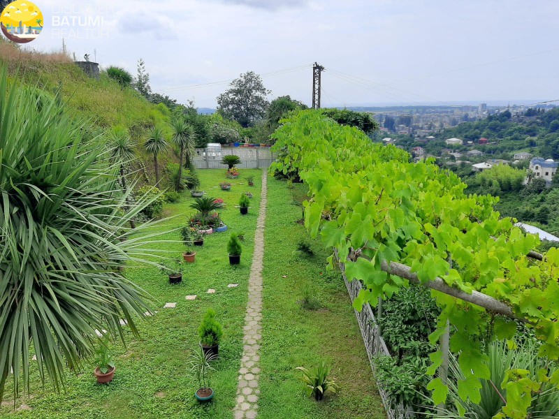 Сдается дом на Тодогаури