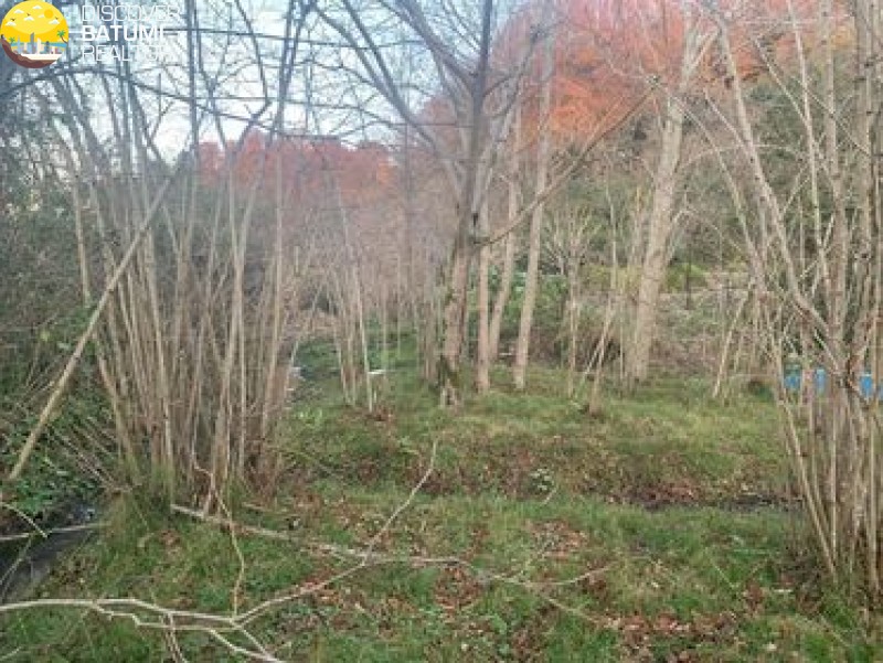 Продается земельный участок в Гонио