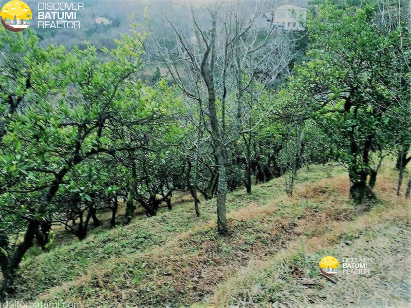 Продается земельный участок с новым домом