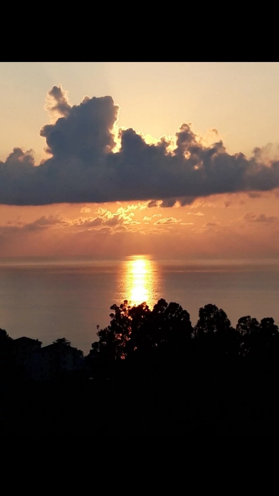 Продажа земли в Цихисдзири