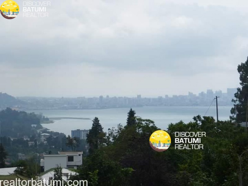 Продажа дома с участком в Цихисдзири